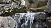 15 Minute Peaceful Music for Stress Relief | Waterfall | Self-love | Self-Esteem | Anxiety Relief | Meditation | Calming | Soothing | Healing | Relaxing | Focus | Sleep | Study