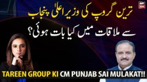 What happened in the meeting of the Tareen Group with the Chief Minister of Punjab?