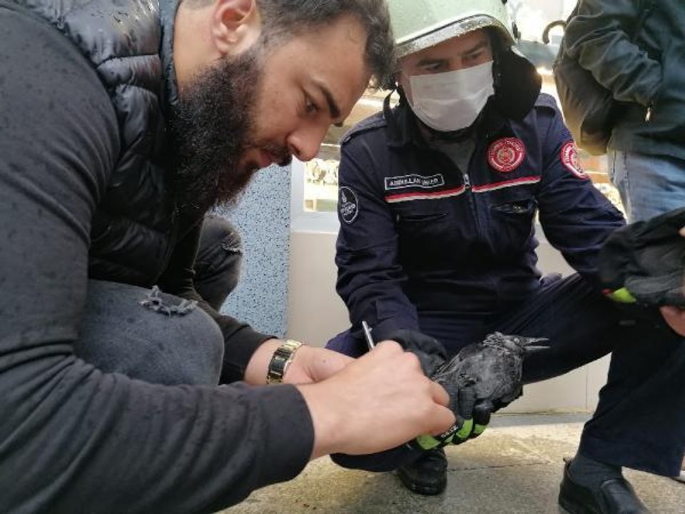 Son dakika haberleri: SİLİVRİ'DE AYAĞINA İP VE POŞET DOLANAN KARGAYI İTFAİYE KURTARDI