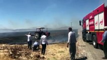 ADIYAMAN - Arpa ve buğday ekili tarlada çıkan yangında yaklaşık 100 dönüm alan zarar gördü