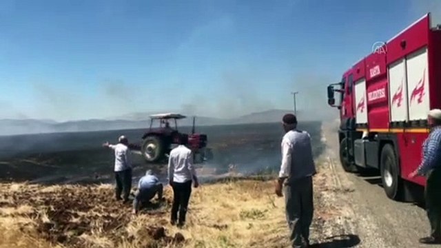 ADIYAMAN - Arpa ve buğday ekili tarlada çıkan yangında yaklaşık 100 dönüm alan zarar gördü