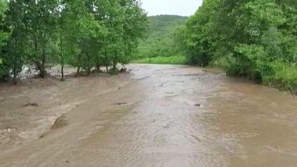 Karacabey'de kuvvetli sağanak nedeniyle dereler taştı