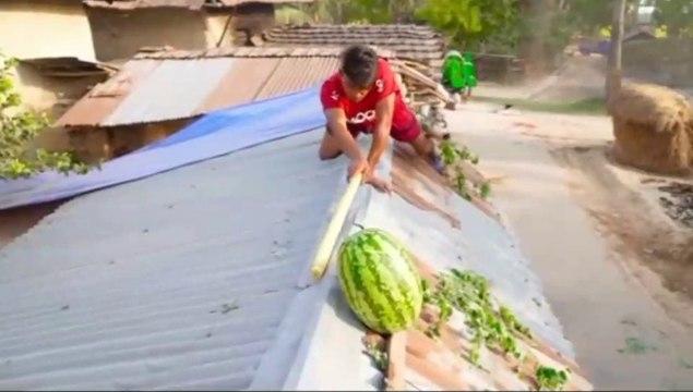 special funny video compilation-1 | wah bete moj krdi | tum to heavy driver nikle | viral videos comedy video try not to laugh challenge