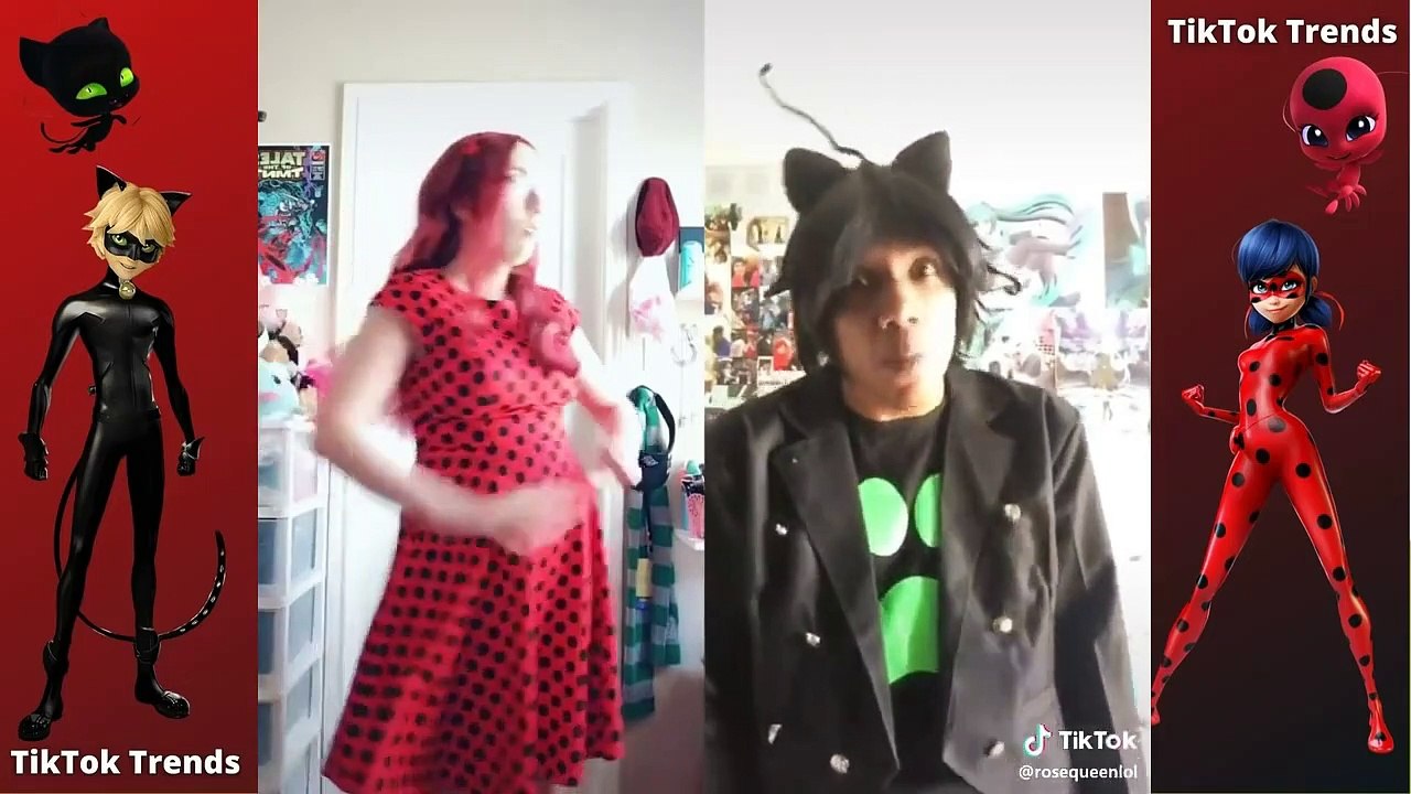 Miraculous Ladybug And Chat Noir Tiktok Cosplay 34 Video Dailymotion
