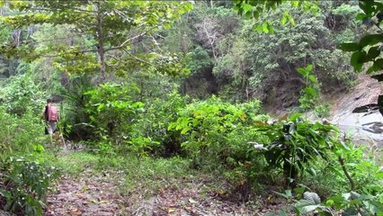 The Making Of A Primitive Jungle Survival Bow And Arrow