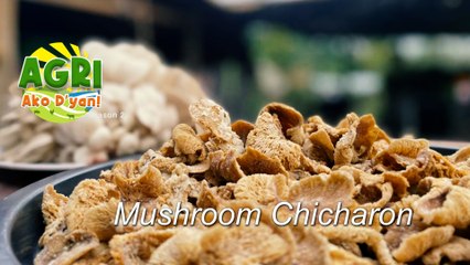 “NEGOSYONG MUSHROOM” Ep.34 AGRI Ako D’yan