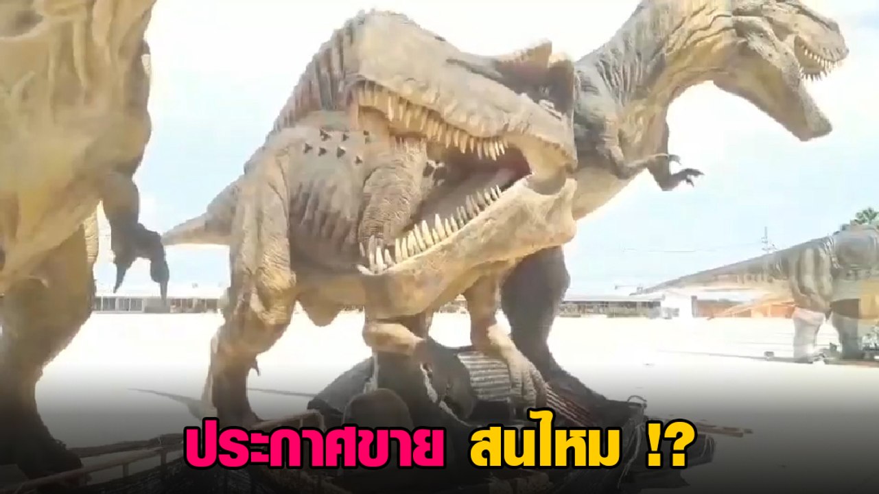 ฮือฮา ! เจ้าของประกาศขาย ไดโนเสาร์ พร้อมรีวิวขย...