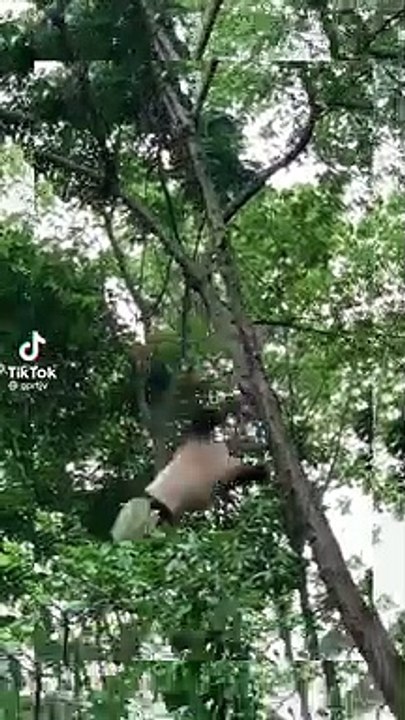 Funny clip tiktok 1 ,面白いクリップtiktok1
