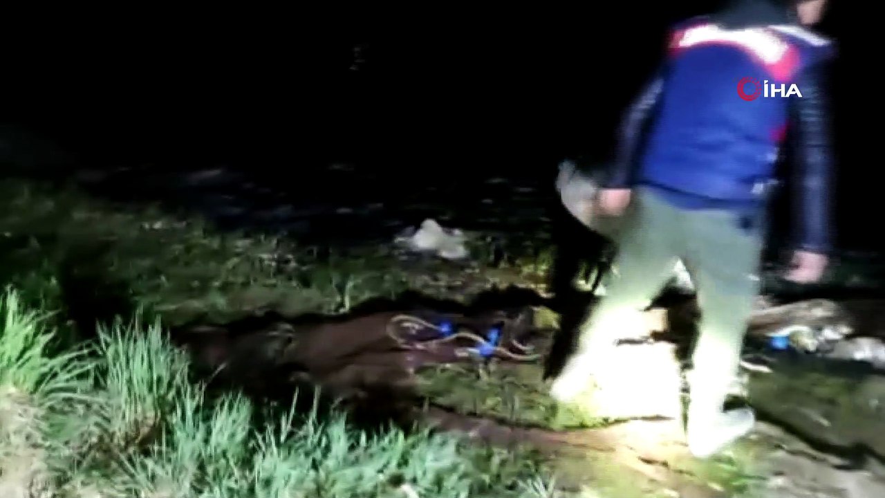 Van Gölü'nde kaçak avlanan 3.5 ton inci kefali ele geçirildi