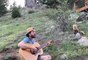Wild Fox Sits Patiently and Enjoys Music While Guy Plays Guitar and Sings to Them