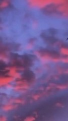 1 Minute Guided Meditation ‍‍☆ Mindful Breathing