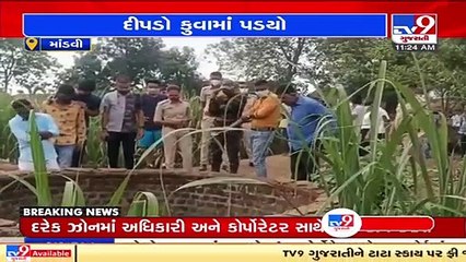 Surat_ Leopard falls into well at Jamankuva village, rescue operation on _ TV9News