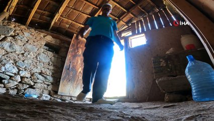 Tavuklar 55 ekran folluğu sevdi