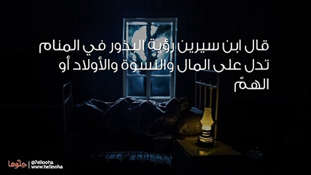 تفسير عباد الشمس في المنام وحلم بذور عباد الشمس