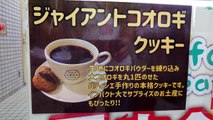 Japonya'daki atıştırmalık böcek otomatına yoğun ilgiTarantuladan çikolata kaplı ipek böceğine kadar birçok seçenek bulunuyorFiyatları 35 ila 200 lira...