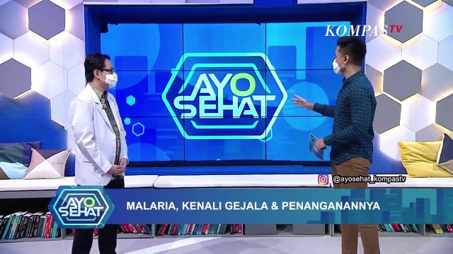 Kenali Gejala Malaria dan Penanganannya