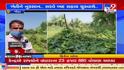 Cyclone Tauktae damages summer crops in Kheda _ TV9News