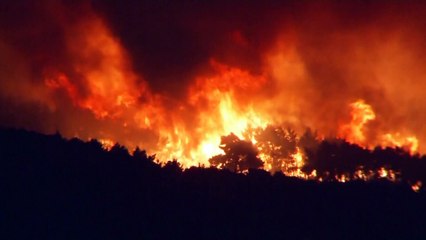 Лесные пожары в Европе