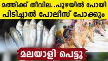 Fish prices skyrocket in Kerala; Sardine at Rs 400 per kg