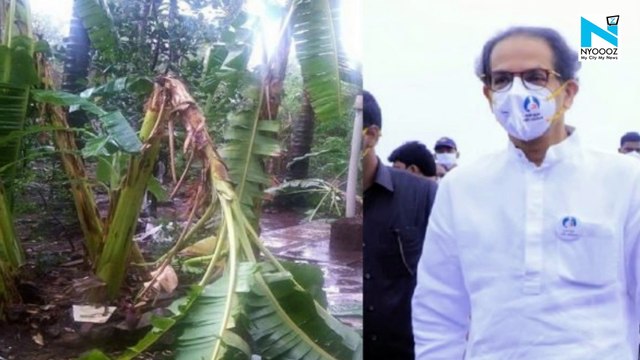 At least I am taking stock on ground and not in helicopter: Uddhav Thackeray's jibe at PM Modi