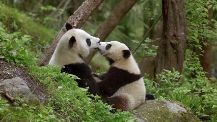 The Hidden Kingdoms of China Part 2