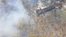 Son dakika haberleri | Antalya'da orman yangını