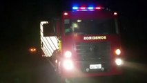 Corpo de Bombeiros é acionado para remover árvore na PR-180