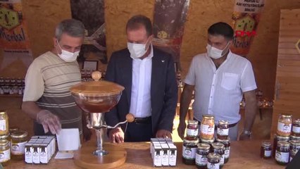 MERSİN BÜYÜKŞEHİR'DEN KARAKOVAN VE PETEK KONSEPTİNDE 'BAL EVİ'