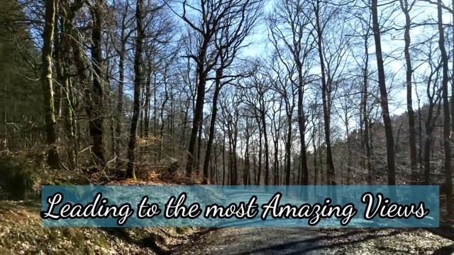 Day Hiking Tour Frankfurt | Adventurous Hiking | Mountains are Calling | Hike More Worry Less |