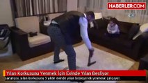 Yılan korkusunu yılan besleyerek aştı