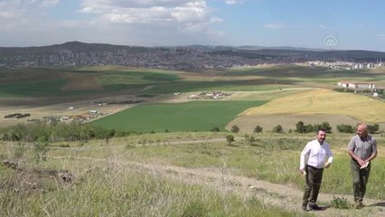Son dakika haberleri... "Sakarya, En Uzun Savaşın Hikayesi" Karatepe zirvesinde tanıtıldı