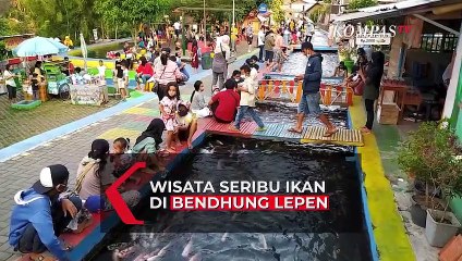 Wisata Seribu Ikan di Bendhung Lepen