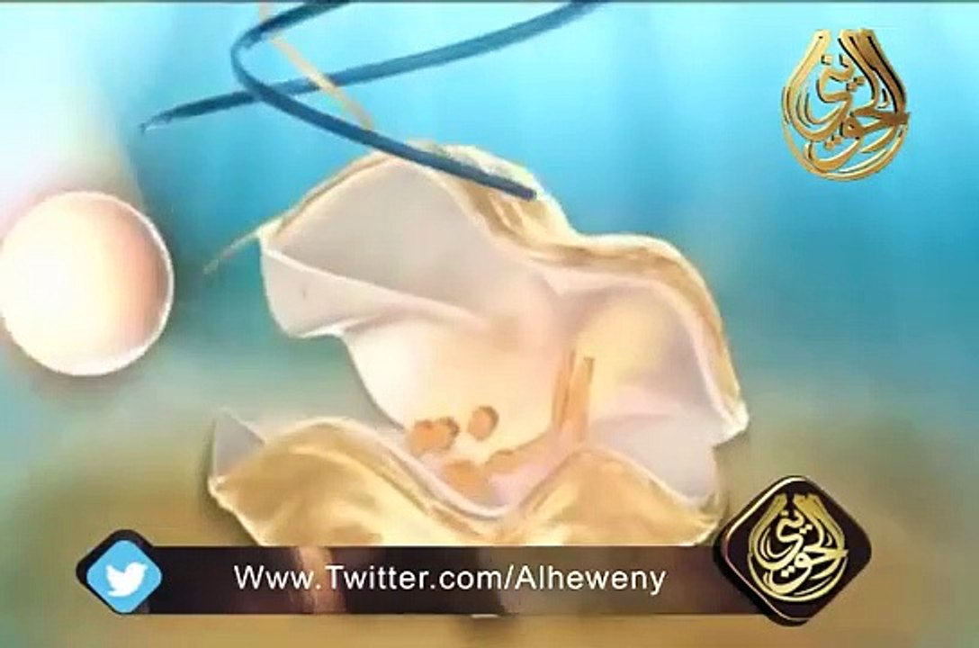 برومو برنامج الغواص للشيخ الحويني رمضان 1434