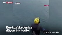 Denize düşen kediyi itfaiye dalgıçları kurtardı