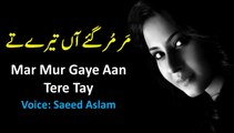 Poetry Mar Mur Gaye Aan Tere Tay By Saeed Aslam | Punjabi Poetry WhatsApp status | Poetry status