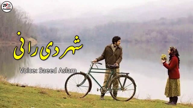 Shehar Di Rani By Saeed Aslam | Punjabi Poetry WhatsApp status | Poetry status | Poetry TikTok