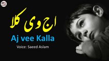 Aj vee Kalla By Saeed Aslam | Punjabi Poetry WhatsApp status | Poetry status | Poetry TikTok