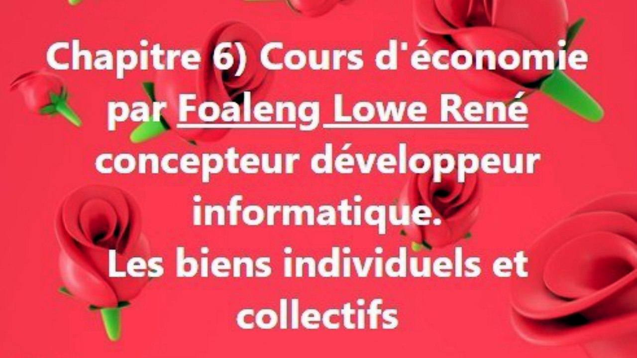 Cours d'économie générale. Chapitre 6) Les biens individuels et collectifs