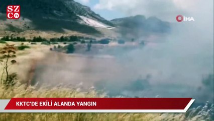 Video herunterladen: KKTC'de ekili alanda yangın: bin dönüme yakın arazi küle döndü