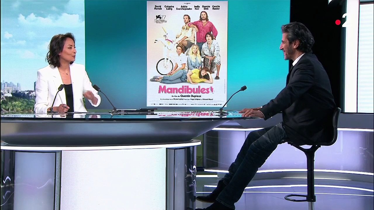 Adèle Exarchopoulos survoltée dans "Mandibules", de Quentin Dupieux