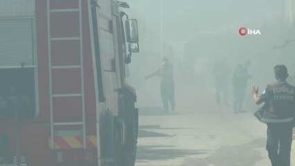 Son dakika haberleri | Kuru otları tutuşturan çocuklar 15 konteynerin yanmasına neden oldu