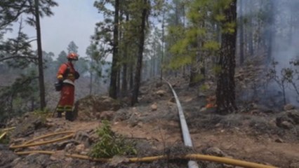 Siguen combatiendo incendio en Tenerife que afecta a 3.300 hectáreas