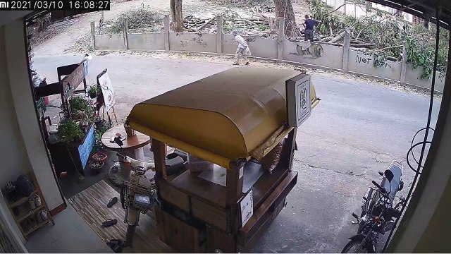 Ces bucherons coupe un arbre alors qu'une femme passe dessous... bon karma