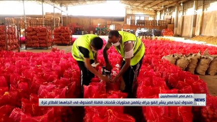 TeN | نشرة أخبار الخامسة مساءًا - السبت 22 مايو 2021