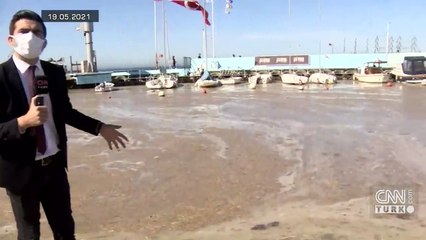 Deniz salyası kabusu bitti mi?