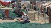 فيديو | صيادو الأسماك في غزة يستعدون للعودة إلى البحر
