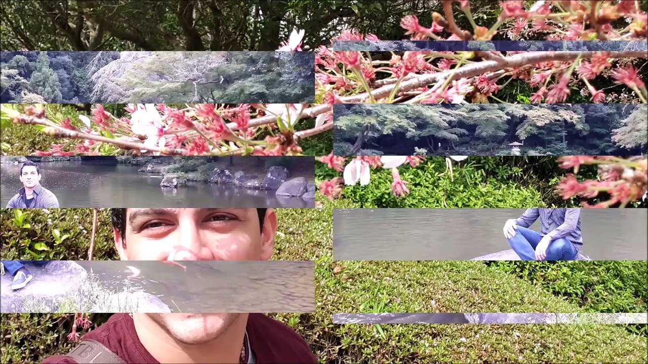 Leap of Faith Water Slide at Atlantis the Palm Dubai | Leap of Faith Water Slide | Atlantis the Palm Dubai | The Leap of Faith Water Slide at Atlantis