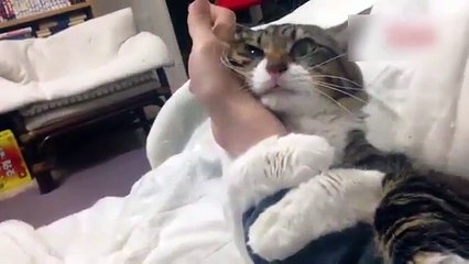 Sahibinin koluna sarılarak uyuyor!