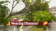 #CycloneYaas is 70 Kms Away From Dhamra: IMD Update | OTV News