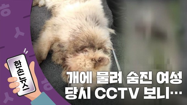 [15초뉴스] 대형견에 물려 숨진 여성, 당시 CCTV 보니... / YTN